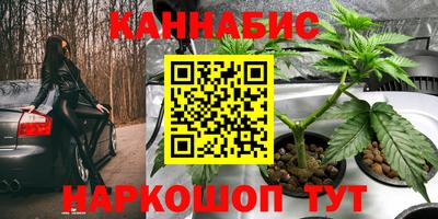 амф Кулебаки