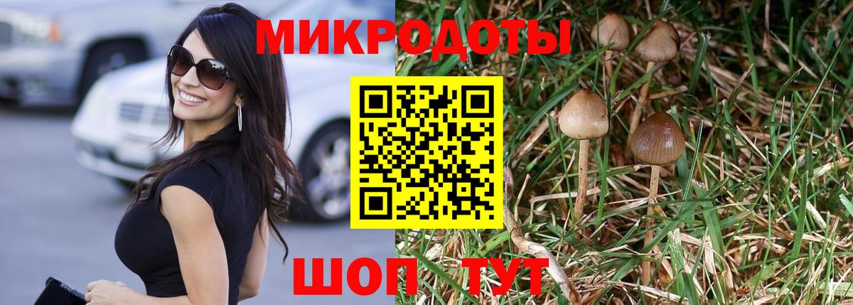 Галлюциногенные грибы Psilocybe  Псилоцибиновые грибы MAGIC MUSHROOMS  Темрюк  Вход с VPN 